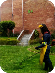 Trabajo en campo