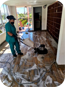 Trabajo en campo