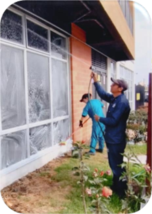 Trabajo en campo