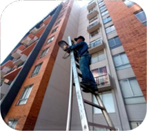Trabajo en campo