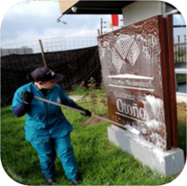 Trabajo en campo